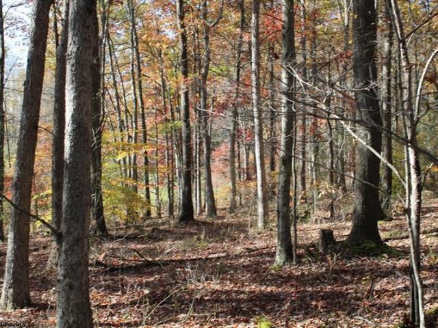 Land for sale in Masontown, West Virginia