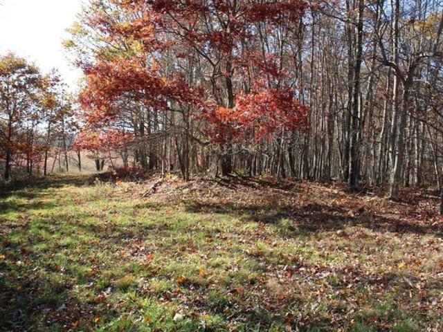 Land for sale in Masontown, West Virginia