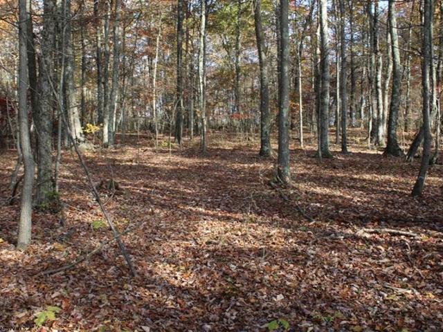 Land for sale in Masontown, West Virginia