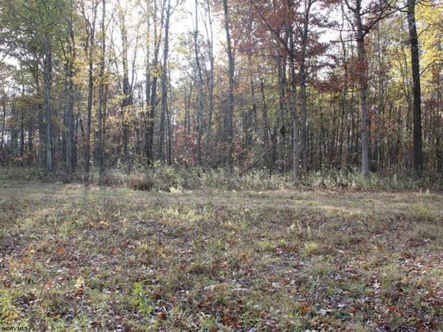 Land for sale in Masontown, West Virginia