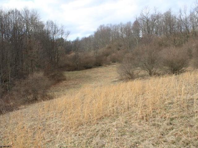 Land for sale in Masontown, West Virginia