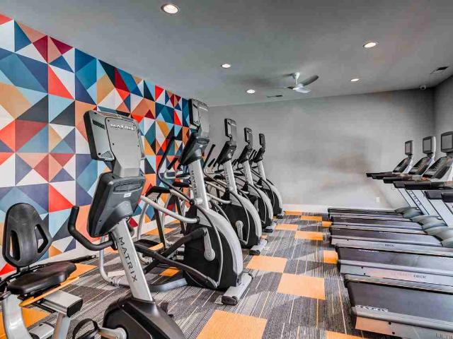 Apartment for rent in Charlotte, North Carolina