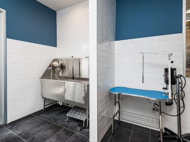 Apartment for rent in Mecklenburg, North Carolina