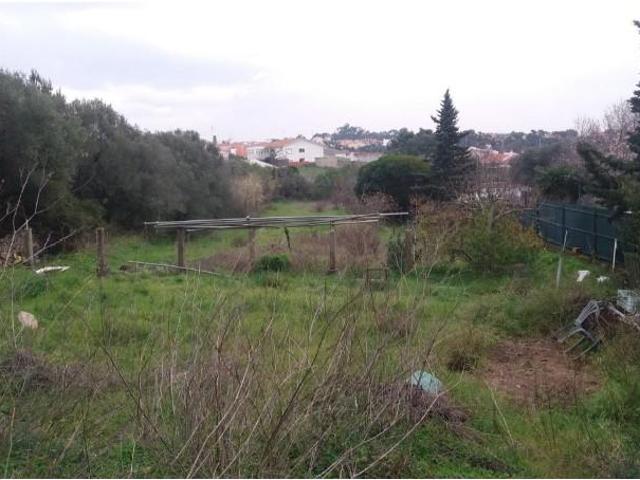 Terreno venda em Manique de Baixo, Cascais