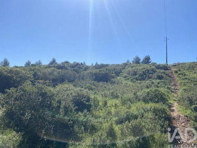 Terreno venda em Cascais, Lisboa