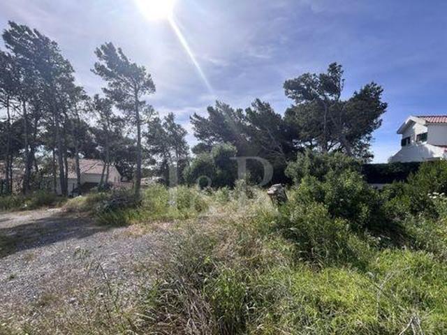 Terreno venda em Quinta de São Martinho, Cascais