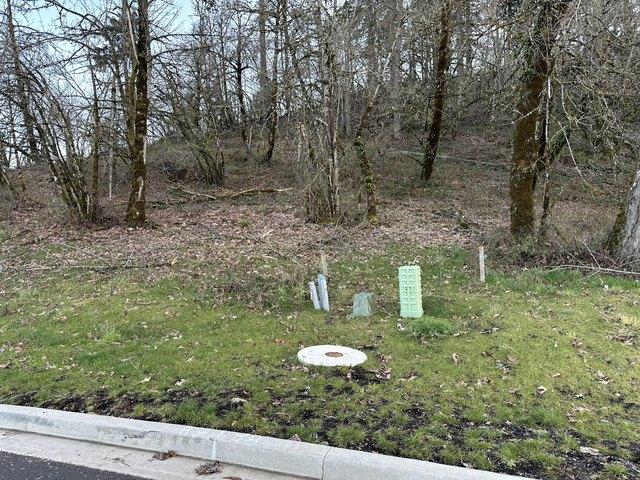 Land for sale in Oregonia