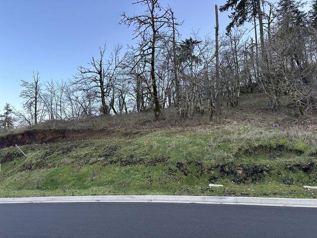 Land for sale in Oregonia