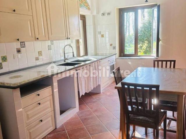 Villa Indipendente in affitto a Piemonte, Novara