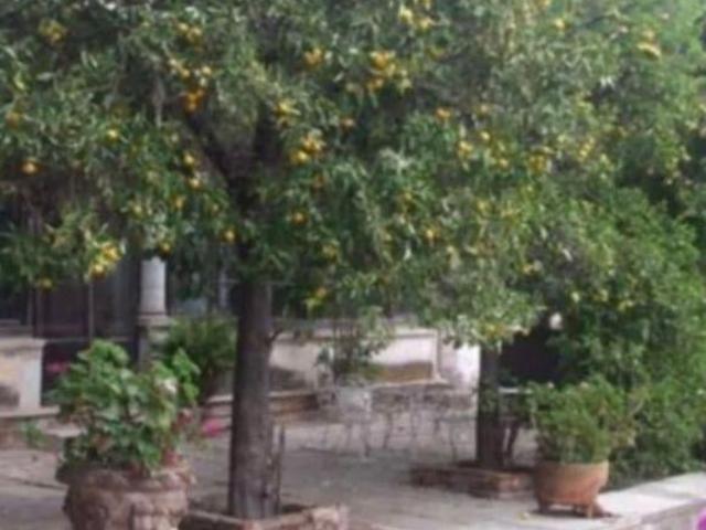 Rancho en venta en Celaya, Guanajuato