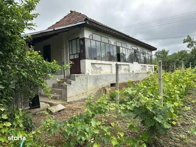 Casă vânzări în Valcea