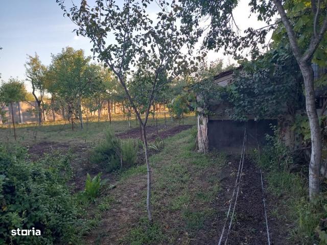 Casă vânzări în Ghiroda, Timiș