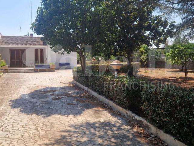 Casa in affitto a Mesagne, Brindisi