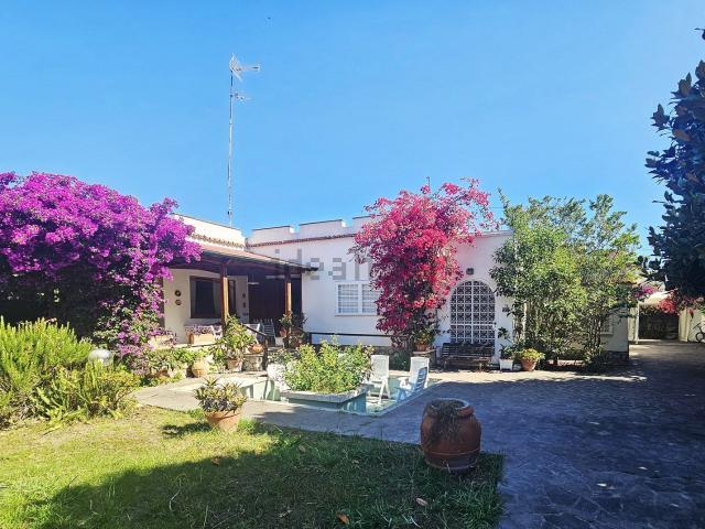 Casa in affitto a San Felice Circeo, Lazio