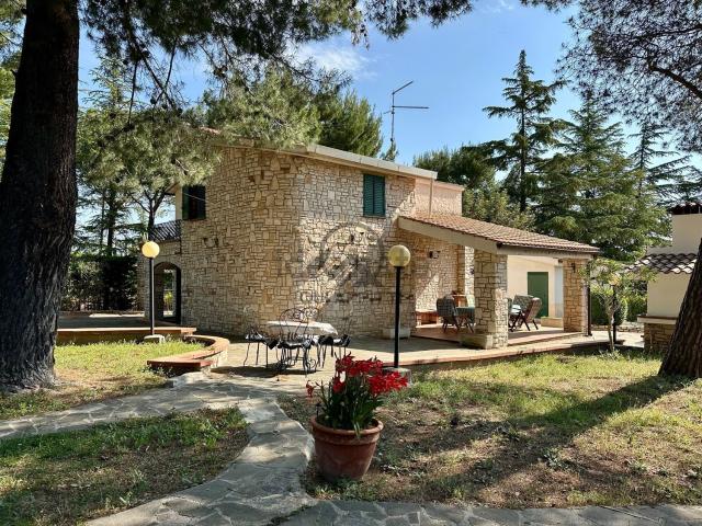 Casa in affitto a Puglia, Barletta-andria-trani