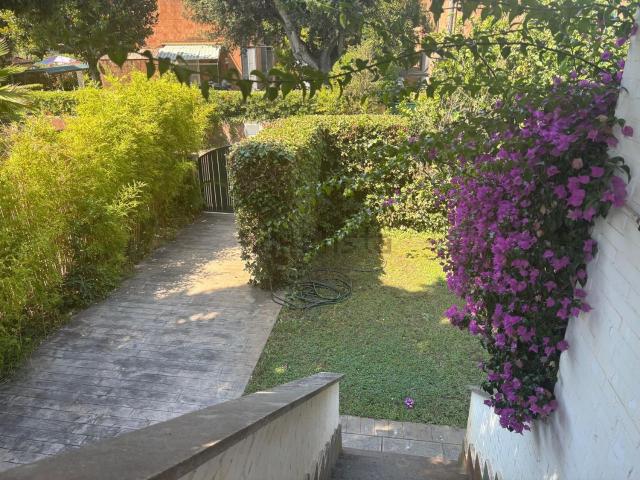 Casa in affitto a Fregene, Roma Capitale