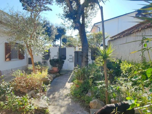Casa in affitto a Fregene, Fiumicino