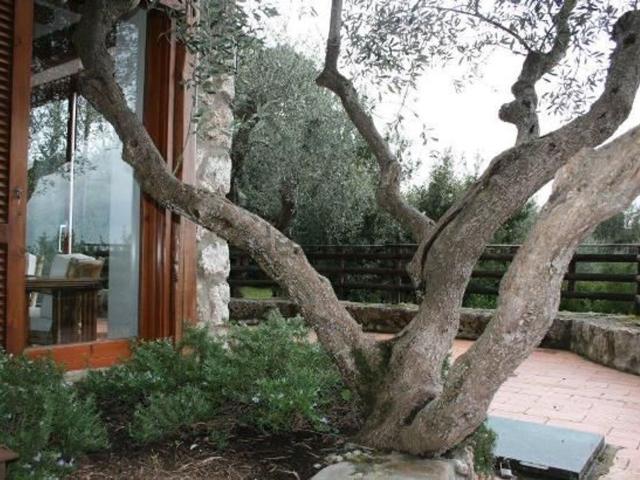 Casa in affitto a Orbetello, Toscana