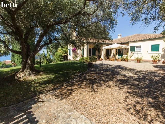 Casa in affitto a Monte Argentario, Pozzarello