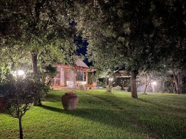Casa in affitto a Fregene, Fiumicino