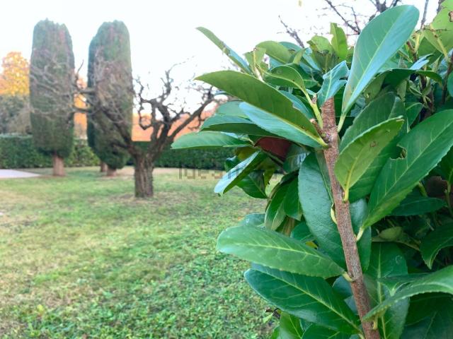 Casa in affitto a Longare, Veneto