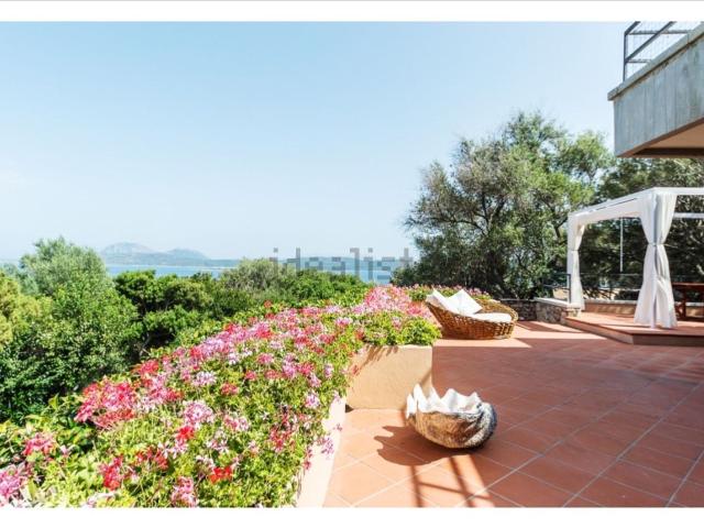 Casa in affitto a Porto Rotondo, Olbia