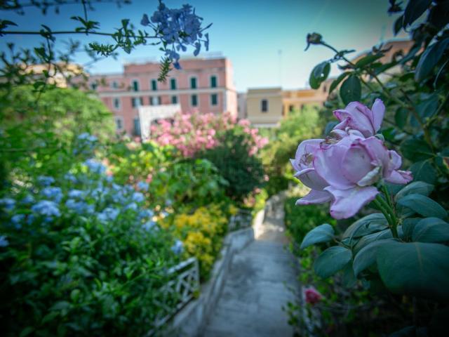 Casa in vendita a Anzio Colonia, Roma Capitale
