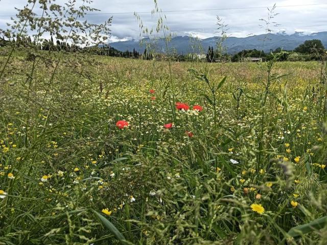 Casa in vendita a Unione di Comuni Valdarno e Valdisieve, Reggello