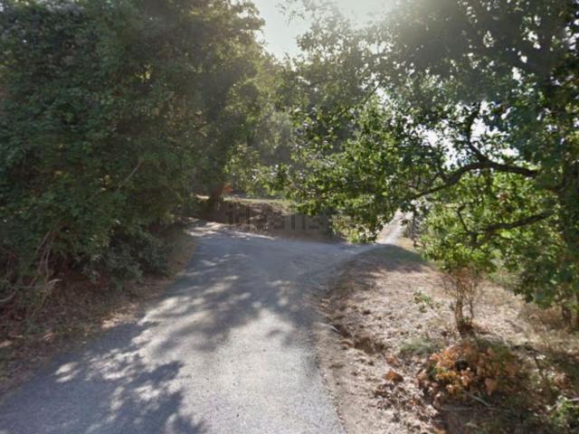 Casa in vendita a Scansano, Toscana