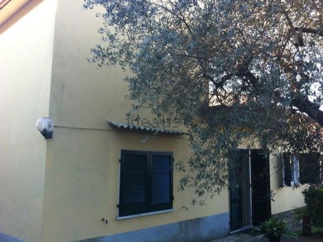 Casa in vendita a Frasso, Seravezza