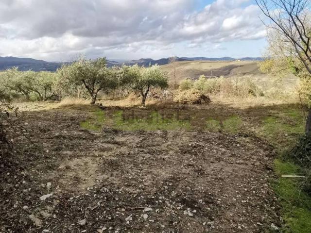Casa in vendita a Acquaviva Collecroce, Molise
