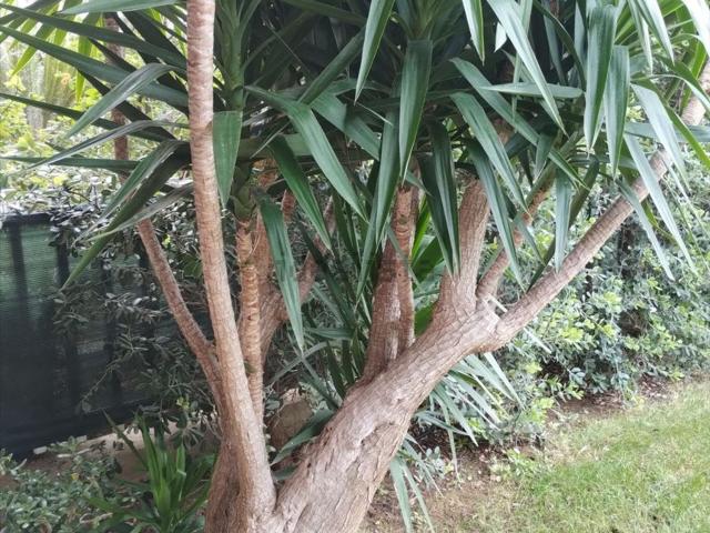 Casa in vendita a Madonnella, Bari