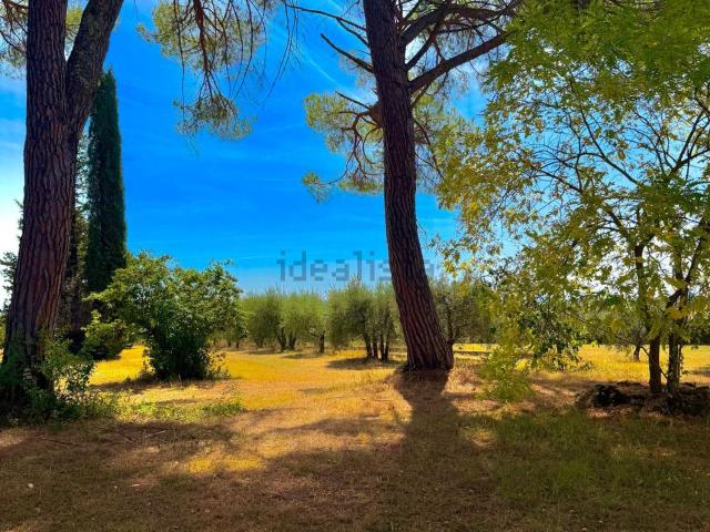 Casa in vendita a Castelnuovo Berardenga, Toscana