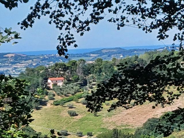 Casa in vendita a Vallefoglia, Marche