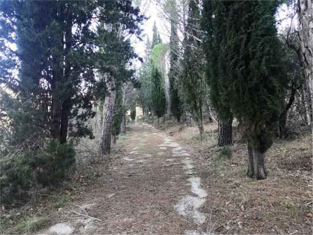 Casa in vendita a Precetto, Ferentillo