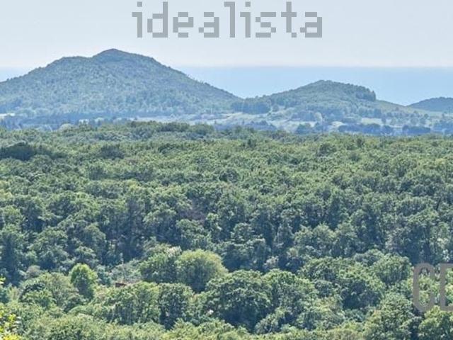 Casa in vendita a Roma Capitale, Lazio