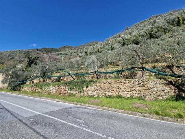 Casa in vendita a Montalto Ligure, Liguria