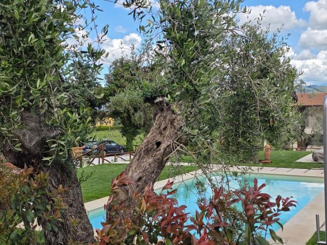 Casa in vendita a Bolgheri, Toscana
