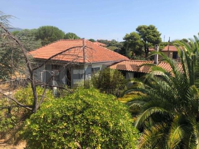 Casa in vendita a Pedara, Sicilia