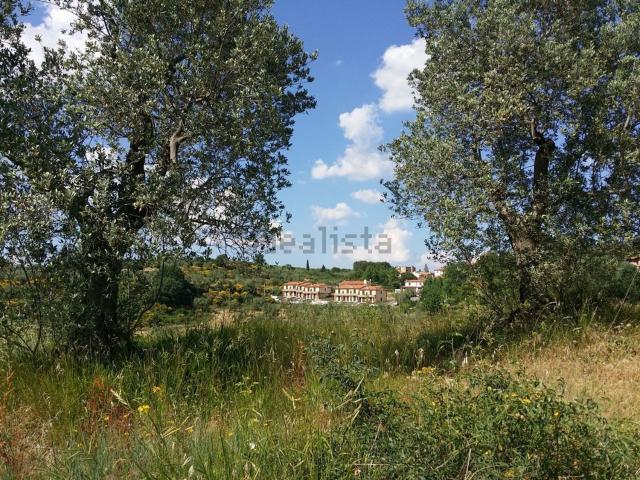 Casa in vendita a Montalcino, Toscana