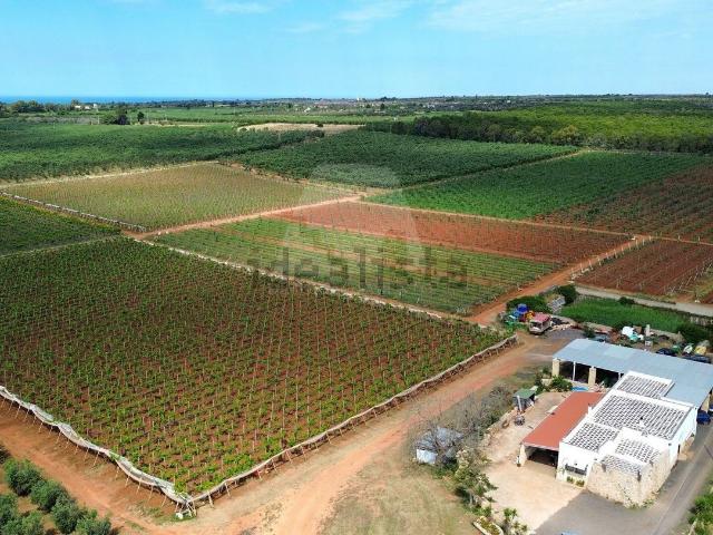 Casa in vendita a Puglia, Lecce