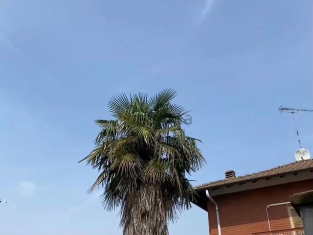 Casa in vendita a Nibbiola