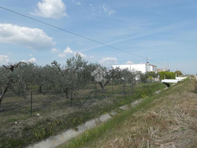 Casa in vendita a Scanzano Jonico, Basilicata