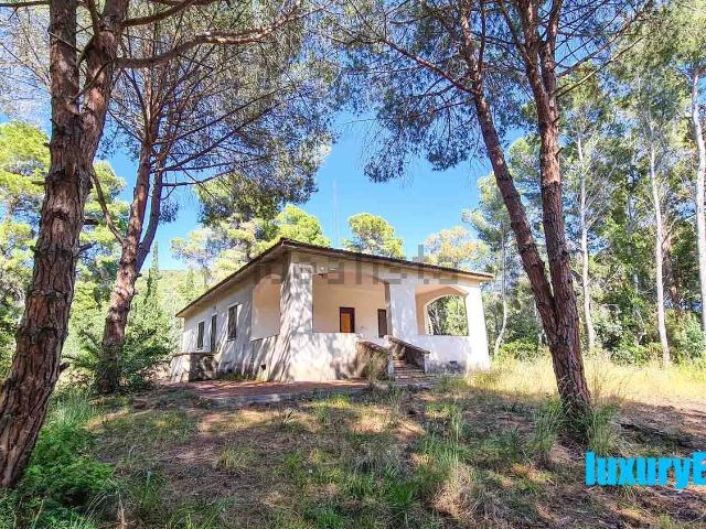 Casa in vendita a Castellabate, Ogliastro Marina