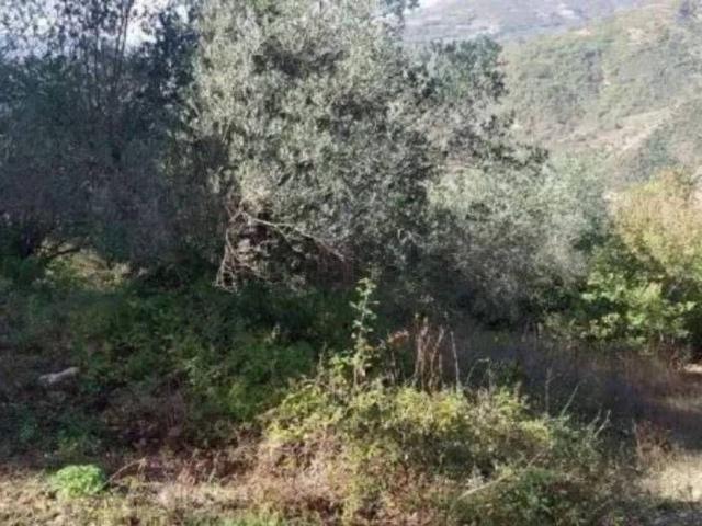 Casa in vendita a Centro storico, Trivento