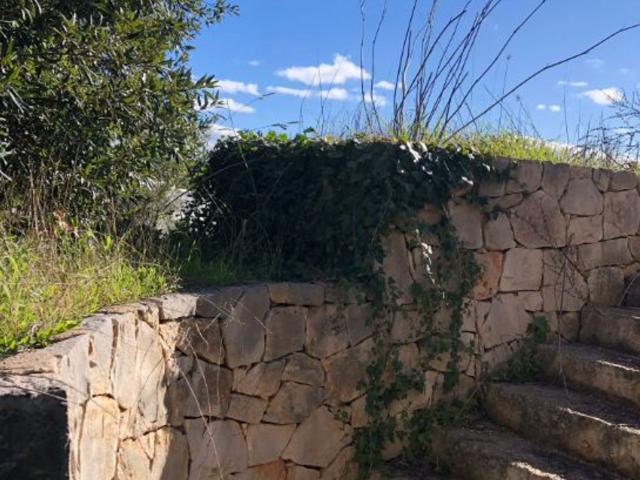 Casa in vendita a Selva, Puglia