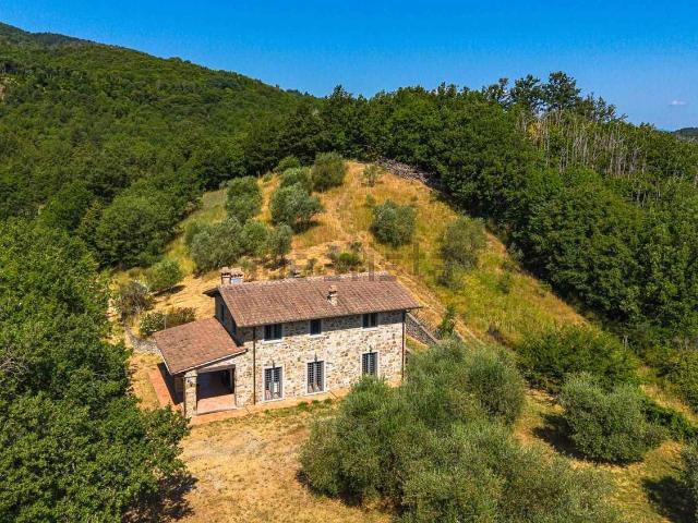 Casa in vendita a Tassaia, Borgo San Lorenzo