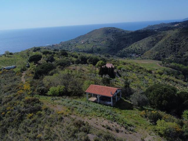 Casa in vendita a Pollica, Campania