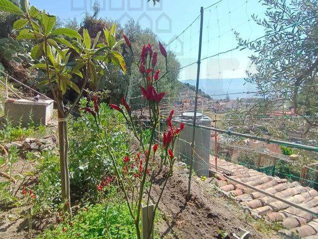 Casa in vendita a I Circoscrizione, Messina