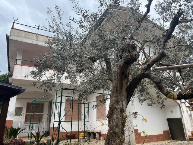 Casa in vendita a Altavilla Silentina, Campania